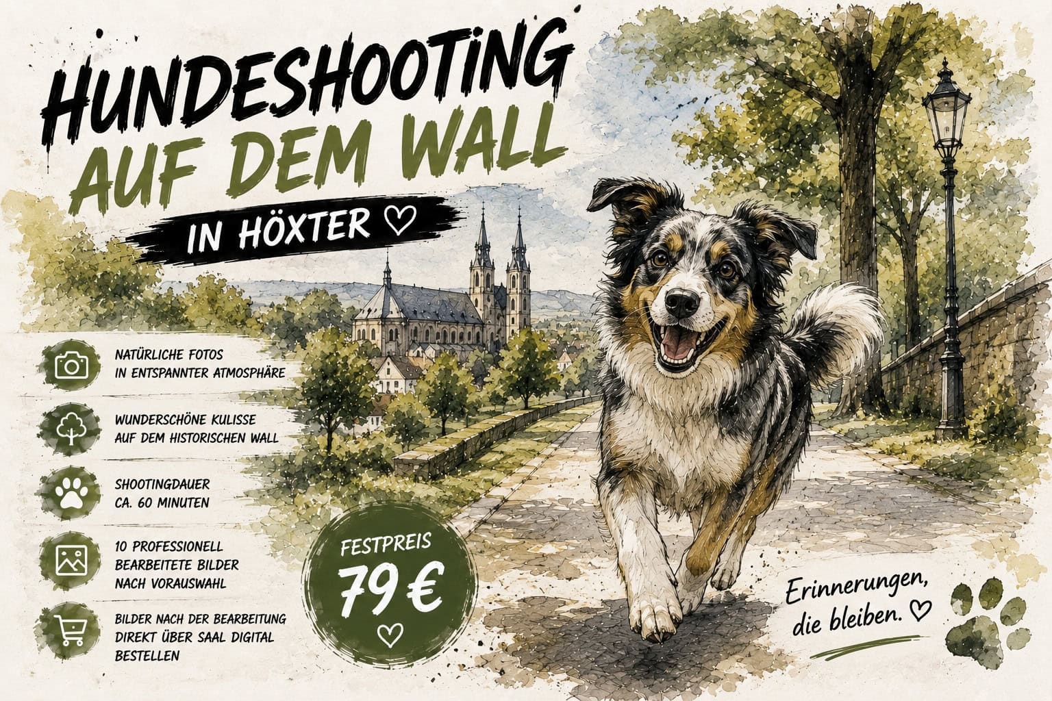 Hundefotografie auf dem Wall in Höxter bei Sonnenlicht.
